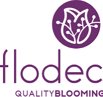 Pagina de Inicio 22 Flodecol